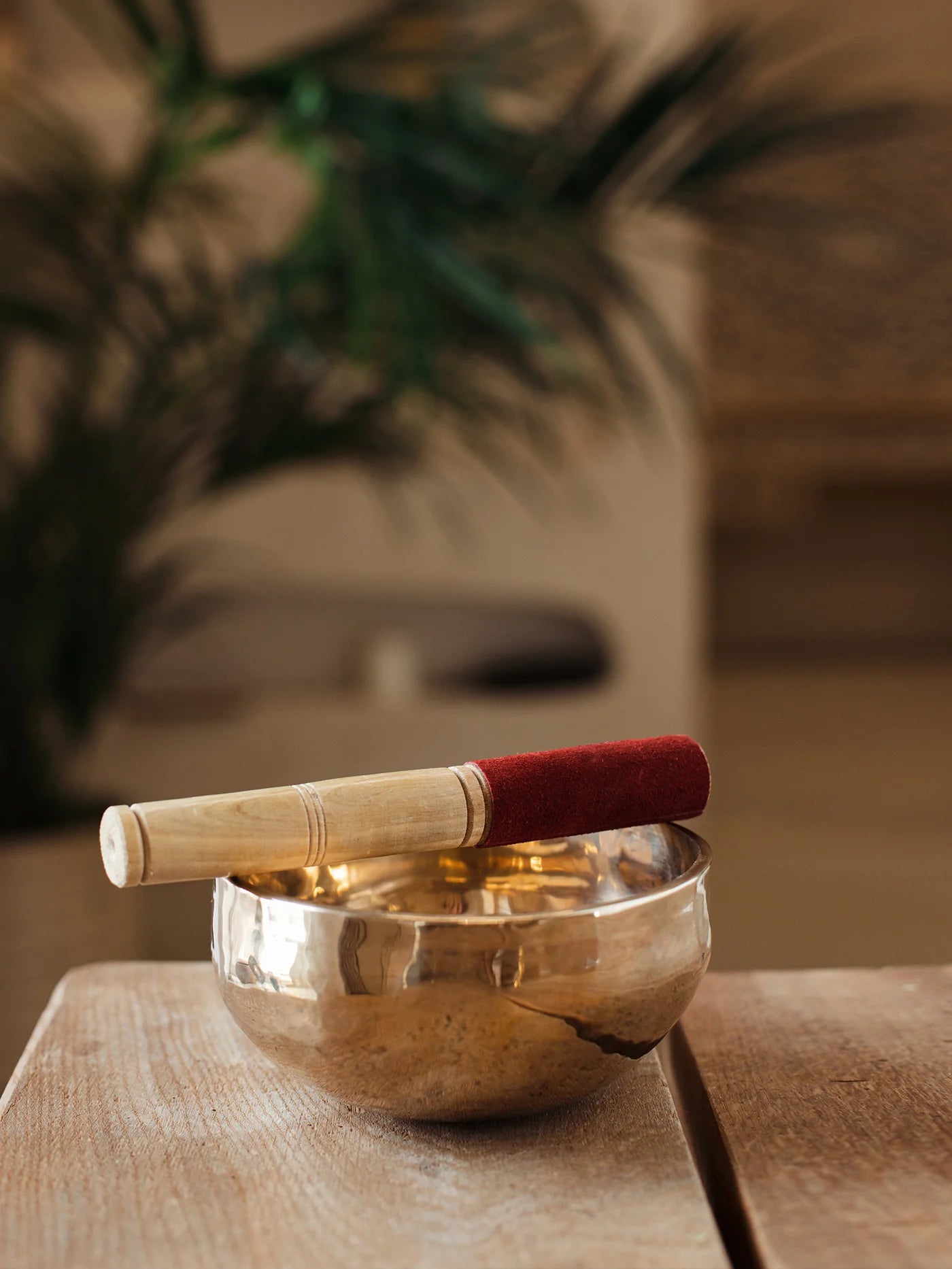 Singing Meditation Bowl